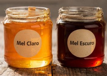 Poucos sabem: por que a cor do mel muda o sabor e a textura?