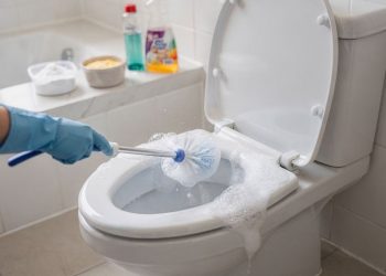 Com apenas 2 ingredientes de cozinha você deixa o seu vaso sanitário limpo e cheiroso