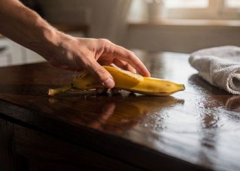 Usei a casca dessa fruta e me impressionei com o brilho que ela deu nos móveis de madeira