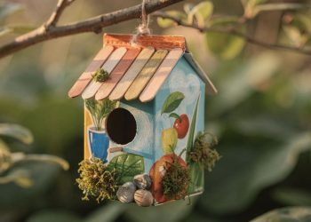 Reciclar caixa de suco em casinha de passarinho transforma lixo em abrigo charmoso
