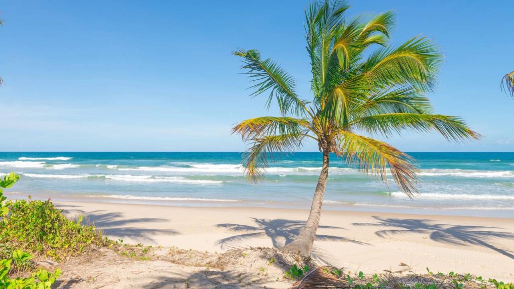 Praia paradisíaca espetacular e impressionante em Itacaré, Bahia, Nordeste do Brasil.