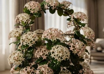 A flor-de-cera que parece feita de porcelana e deixa qualquer ambiente sofisticado