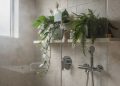 Estas 3 plantas para banheiro combatem o mau cheiro e renovam o visual do ambiente