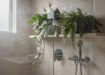 Estas 3 plantas para banheiro combatem o mau cheiro e renovam o visual do ambiente