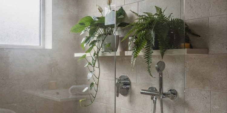 Estas 3 plantas para banheiro combatem o mau cheiro e renovam o visual do ambiente