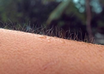 O que significa se arrepiar com música, frio ou medo e por que isso revela tanto sobre nosso corpo