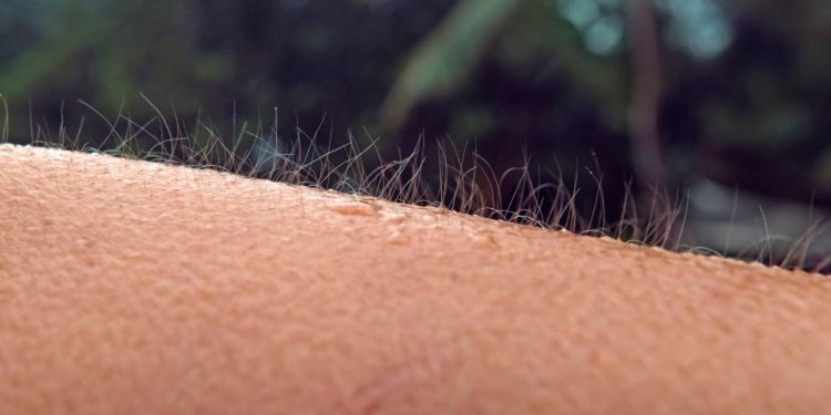 O que significa se arrepiar com música, frio ou medo e por que isso revela tanto sobre nosso corpo