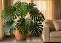 Essa planta tropical purifica o ar e é o segredo dos decoradores para dar vida à sala