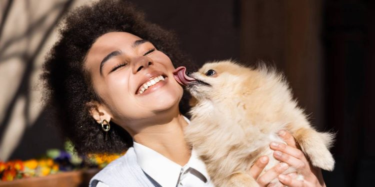 Seu cachorro não para de lamber você? Entenda o que esse gesto quer dizer