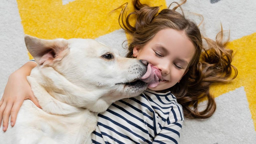 Seu cachorro não para de lamber você? Entenda o que esse gesto quer dizer