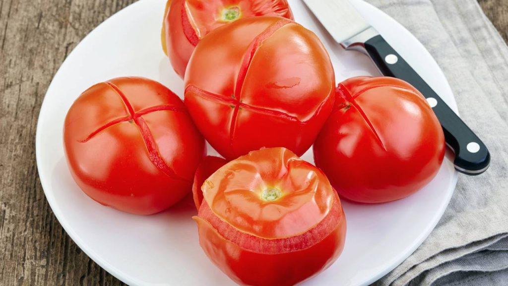 cascas de tomate