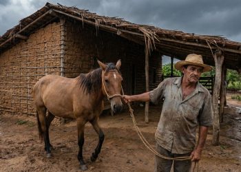 Você sabe o que realmente quer dizer “tirar o cavalo da chuva”? Essa frase revela muito sobre nossas origens