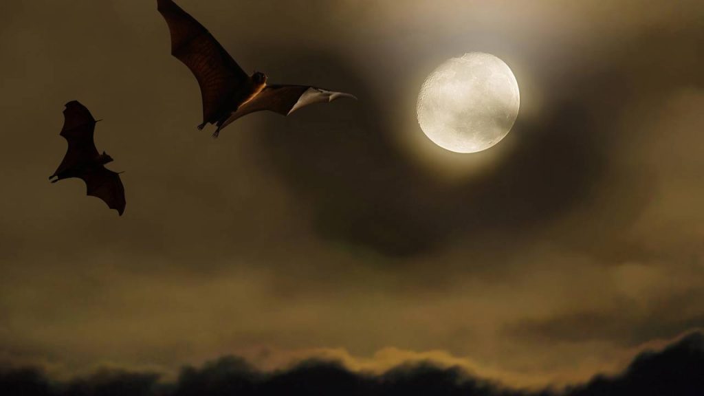 dracula
