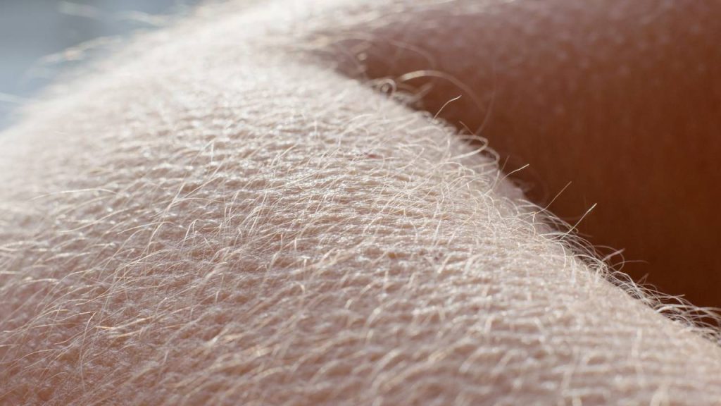 O que significa se arrepiar com música, frio ou medo e por que isso revela tanto sobre nosso corpo