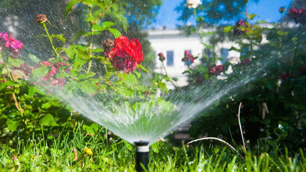 irrigação flores