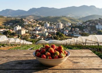 A capital mineira do morango: maior produtora do país com vista para a serra e aquele jeito acolhedor de cidade pequena