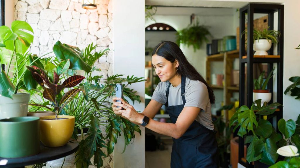 Algumas plantas só precisam mudar de lugar para voltar a crescer e deixar o ambiente mais leve e cheio de vida