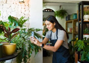 Algumas plantas só precisam mudar de lugar para voltar a crescer e deixar o ambiente mais leve e cheio de vida