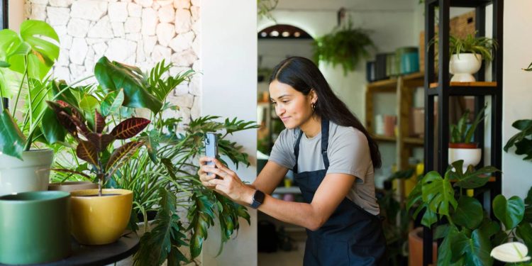 Algumas plantas só precisam mudar de lugar para voltar a crescer e deixar o ambiente mais leve e cheio de vida