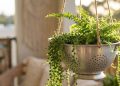 Adeus aos vasos tradicionais: essas 3 alternativas práticas são a nova tendência para cultivar plantas