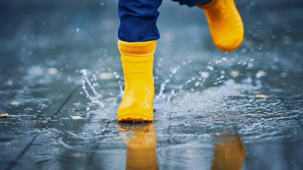 Por que o cheiro da chuva traz paz antes mesmo de chover?
