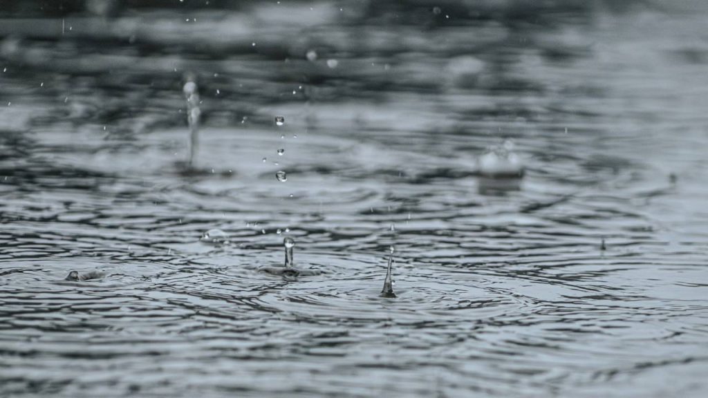 Por que o cheiro da chuva traz paz antes mesmo de chover?