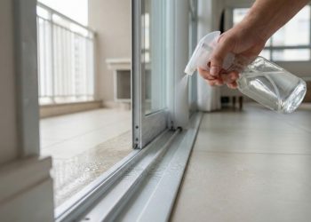 Borrifar vinagre na varanda: por que é recomendado e como fazer corretamente?