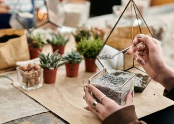 Esse mini jardim pode mudar a forma como você decora seus espaços