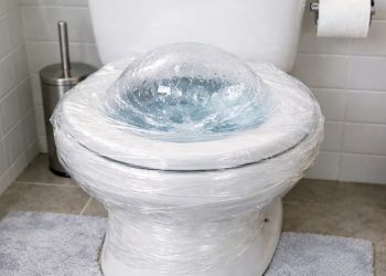 Por que o filme plástico no vaso sanitário vira solução rápida contra entupimento?