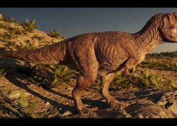 A descoberta deste dinossauro na Argentina prova que os continentes eram vizinhos há 80 milhões de anos