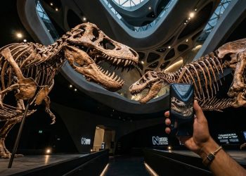 Museu de História Natural de Abu Dhabi impressiona com dinossauros em tamanho real