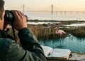 O jovem português que viaja pelo país "colecionando" pássaros ao estilo Pokémon
