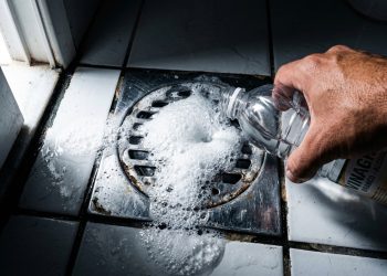 Se as moscas continuarem aparecendo na cozinha e no banheiro... uma xícara desse pó que você tem em casa será suficiente?