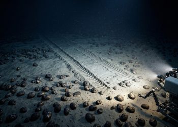 Em 1979, um experimento de mineração em águas profundas no Pacífico alterou o fundo do mar — 44 anos depois, seu impacto ambiental ainda se revela