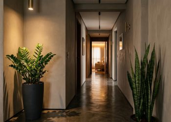 Três plantas ideais para ter no corredor: elas precisam de pouca luz e transformam o ambiente.