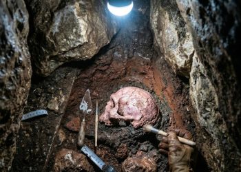 Esqueleto achado em caverna da Espanha apresenta traço raro que intriga pesquisadores da evolução humana