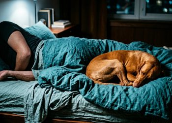 O que significa dormir com o cachorro na mesma cama, segundo especialistas?