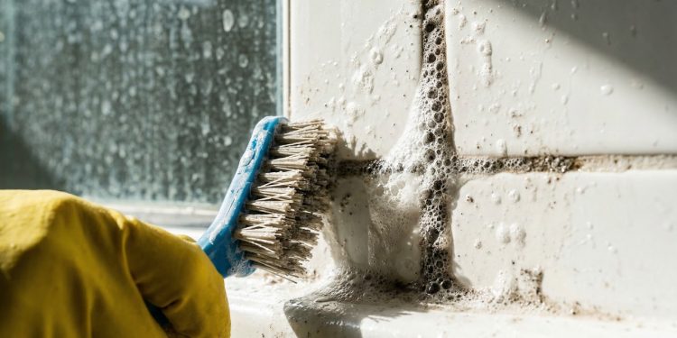 Como limpar o banheiro inteiro com apenas três ingredientes caseiros e deixá-lo desinfetado e brilhando como novo