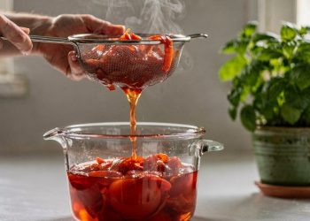 Como as cascas de tomate viram fertilizante natural e transformam vasos e hortas em casa