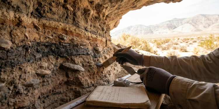 Assentamento humano de 125 mil anos foi descoberto nos Emirados Árabes