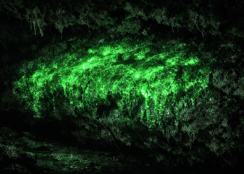 Como uma descoberta em uma caverna no Novo México mudou nossa compreensão sobre quais planetas poderiam abrigar vida