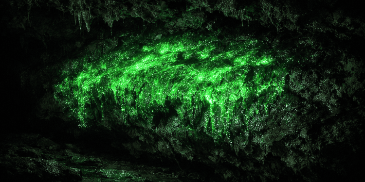 Como uma descoberta em uma caverna no Novo México mudou nossa compreensão sobre quais planetas poderiam abrigar vida