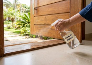 Borrifar vinagre na entrada de casa: para que serve e por que é recomendado