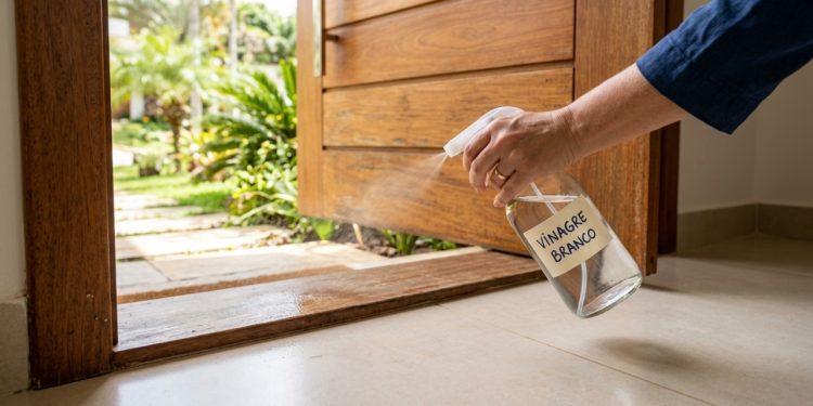 Borrifar vinagre na entrada de casa: para que serve e por que é recomendado