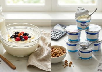 Quanto custa fazer iogurte natural caseiro para consumir todos os dias ou comprar iogurte grego no mercado