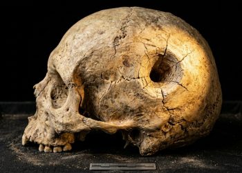 Um adolescente sobreviveu a ataque brutal de leão há 6200 anos atrás, revela esqueleto