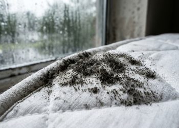 Por isso, você deve manter a janela do seu quarto fechada à noite