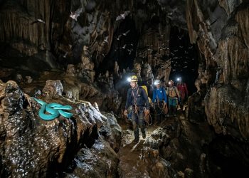 Ao menos 11 novas espécies foram descobertas em cavernas do Camboja, representando uma evolução única em ambiente isolado
