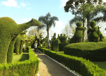 Um jardineiro transformou uma praça inteira em esculturas vivas e colocou sua cidade de 3 mil habitantes no mapa das mais belas do país
