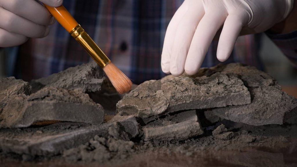 artefato arqueológico de 3.000 anos